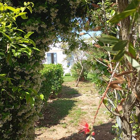 Li Curti B&B Melissano Exteriör bild