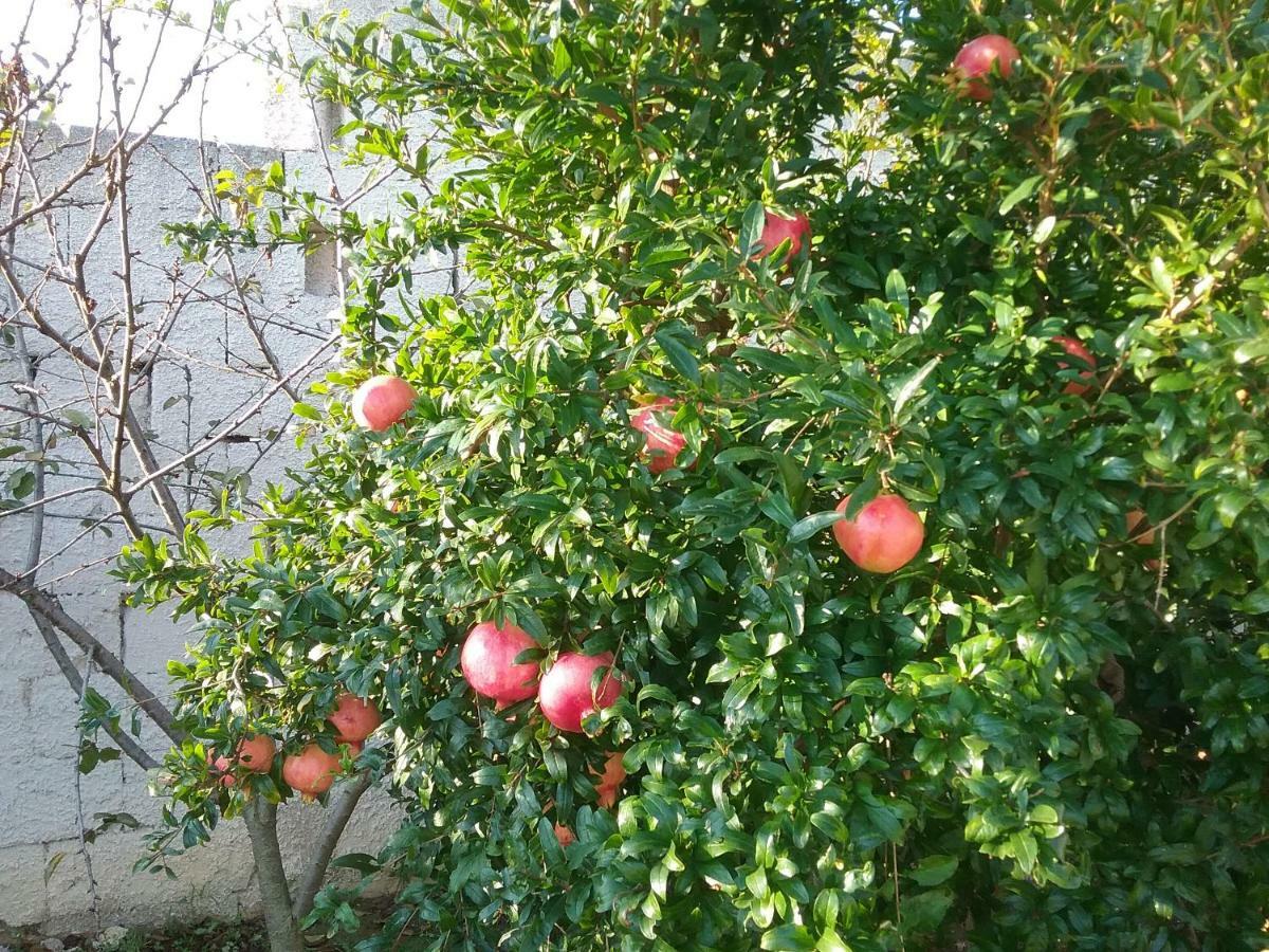 Li Curti B&B Melissano Exteriör bild